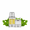 PUFFS 12K PRO MAX - CROWN BAR BY AL FAKHER