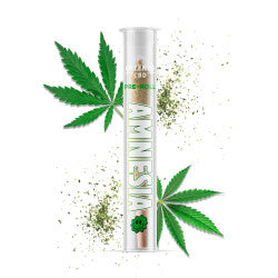 PRE-ROLL AMNÉSIA - CBD - GREENEO