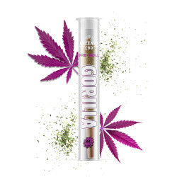 PRE-ROLL GORILLA - CBD - GREENEO